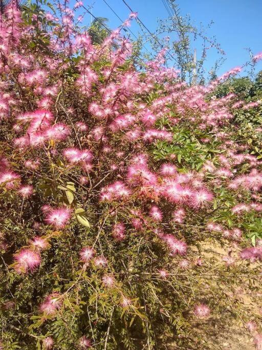 Chalé aconchegante em estância climática Santo Antônio do Leite Esterno foto
