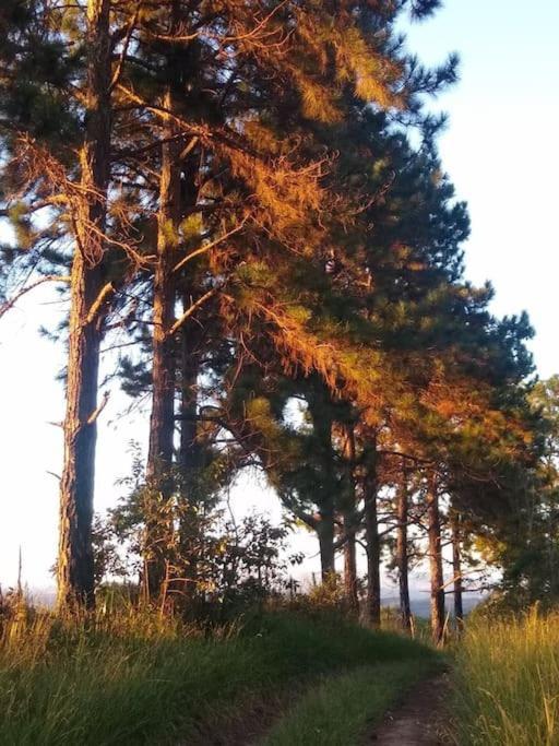 Chalé aconchegante em estância climática Santo Antônio do Leite Esterno foto